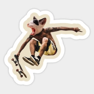 Skate Cat Sticker